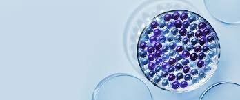 Ceramides Explained: The Secret to a Strong Skin Barrier